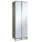 Двухдверный шкаф с зеркальными дверцами Strict Lines варинант исполнения - 1 | Loft Concept в Волгограде