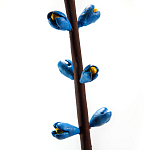 Синий экзотический фрукт статуэтка для интерьераTropical Fruit Pandora 9 варинант исполнения - 2 | Loft Concept в Волгограде