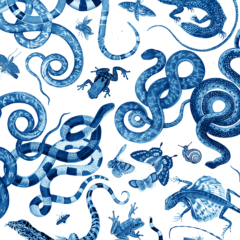 Мебельная ткань Велюр 145 см Т4-86  в Волгограде | Loft Concept 