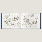 Лимитированная подарочная книга HERMES Fierce and Fragile book, English version варинант исполнения - 4 | Loft Concept в Волгограде