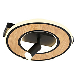 Потолочный светильник круглый GAVIN WOOD варинант исполнения - 1 | Loft Concept в Волгограде