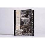 Книга Fantastic Gustave Dore варинант исполнения - 3 | Loft Concept в Волгограде