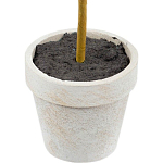 Декоративный искусственное растение Boxwood One варинант исполнения - 3 | Loft Concept в Волгограде