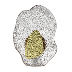 Бра с рельефным волнообразным стеклянным плафоном и вставкой из мрамора Liquid Stone варинант исполнения - 1 | Loft Concept в Волгограде