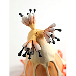 Статуэтка тропический фрукт Pandora Tropical Fruit Orange варинант исполнения - 3 | Loft Concept в Волгограде