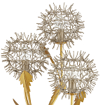 Торшер в виде цветка одуванчика Hanging Dandelion варинант исполнения - 1 | Loft Concept в Волгограде