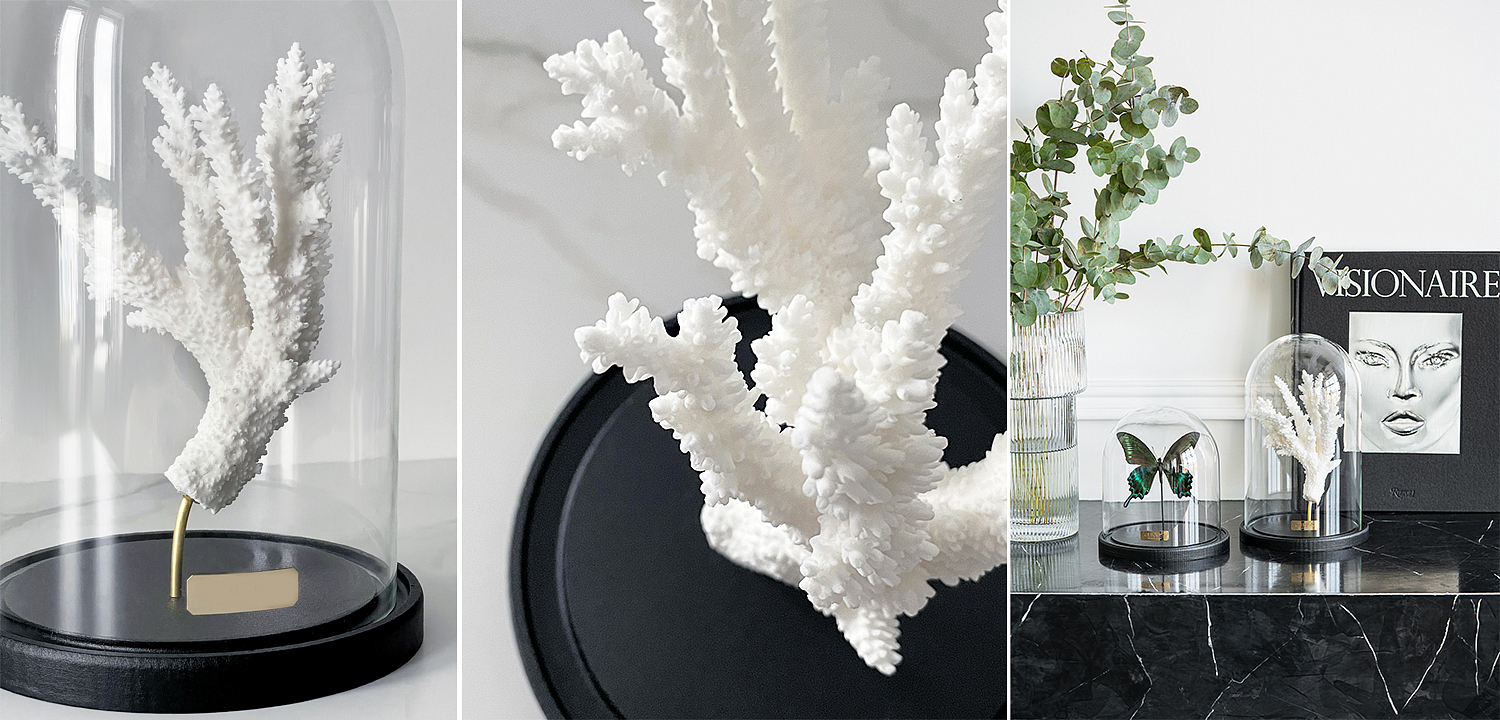 Статуэтка Natural Coral Branch Glass Cloche Статуэтка Natural Coral Branch Glass Cloche - Loft-Concept в Волгограде