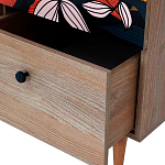 Шкаф с принтом Kario варинант исполнения - 3 | Loft Concept в Волгограде