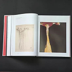 Подарочная Книга Rene gruau fashion illustration варинант исполнения - 11 | Loft Concept в Волгограде