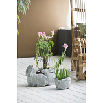 Кашпо A collection of baby rabbits варинант исполнения - 4 | Loft Concept в Волгограде