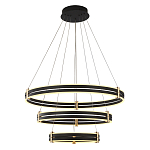 Люстра светодиодная с 3-мя плафонами в форме колец из акрила и алюминия с пультом для регулировки света Ring Horizontal Anthracite варинант исполнения - 1 | Loft Concept в Волгограде