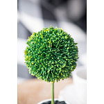 Декоративный искусственное растение Boxwood One варинант исполнения - 8 | Loft Concept в Волгограде