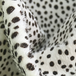 Мебельная ткань Искусственный мех  белый леопард 90 см T5-3 варинант исполнения - 1 | Loft Concept в Волгограде