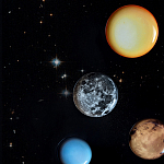 Блюдо Seletti Sun варинант исполнения - 6 | Loft Concept в Волгограде