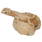 Статуэтка из дерева ящерица Animals of the World варинант исполнения - 2 | Loft Concept в Волгограде