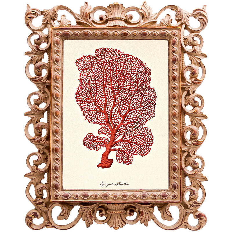 Постер Red Coral Poster 5 Бежевый Красный в Волгограде | Loft Concept 