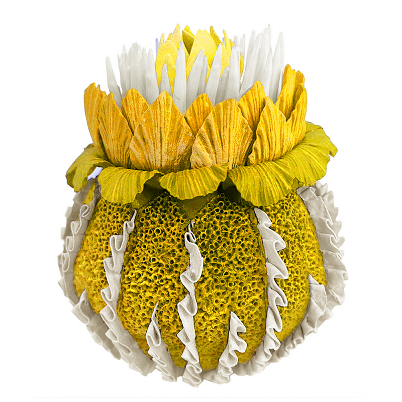 Желтый Экзотический фрукт Yellow Pandora Exotic Fruit 44 Желтый Желтый Экзотический фрукт Yellow Pandora Exotic Fruit 44 Желтый в Волгограде | Loft Concept
