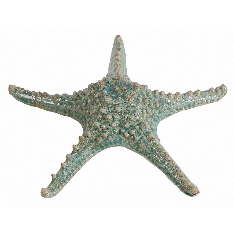 Аксессуар Starfish Бирюзовый Серый Аксессуар Starfish Бирюзовый Серый в Волгограде | Loft Concept