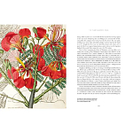 Прекрасно иллюстрированная книга более 100 ботанических произведений Plant Hunters Atlas варинант исполнения - 5 | Loft Concept в Волгограде