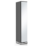 Шкаф-пенал с зеркальной дверцей и фасадом цвета графит Strict Lines варинант исполнения - 2 | Loft Concept в Волгограде