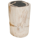 Стул из окаменелого дерева Petrified Wood варинант исполнения - 1 | Loft Concept в Волгограде