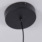 Люстра подвесная светодиодная черный металл Ring Horizontal варинант исполнения - 6 | Loft Concept в Волгограде