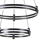 Люстра светодиодная с 2-мя плафонами в форме колец из акрила и алюминия с пультом для регулировки света Ring Horizontal Black варинант исполнения - 1 | Loft Concept в Волгограде