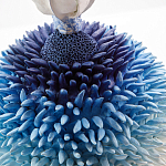 Статуэтка Синий тропический фрукт Tropical Fruit Pandora 4 варинант исполнения - 1 | Loft Concept в Волгограде