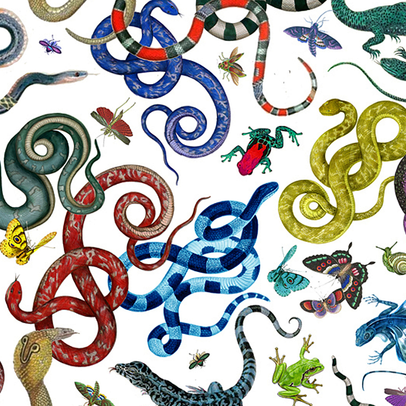 Мебельная ткань Велюр 145 см Т4-87  в Волгограде | Loft Concept 