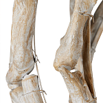 Люстра круглая в виде веток деревьев Natural Driftwood варинант исполнения - 3 | Loft Concept в Волгограде