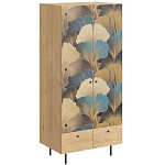 Шкаф с принтом Melody варинант исполнения - 1 | Loft Concept в Волгограде