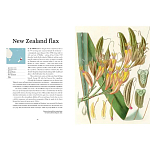 Прекрасно иллюстрированная книга более 100 ботанических произведений Plant Hunters Atlas варинант исполнения - 3 | Loft Concept в Волгограде