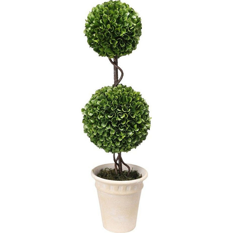 Декоративный искусственное растение Boxwood Зеленый Бежевый Коричневый Декоративный искусственное растение Boxwood Зеленый Бежевый Коричневый в Волгограде | Loft Concept