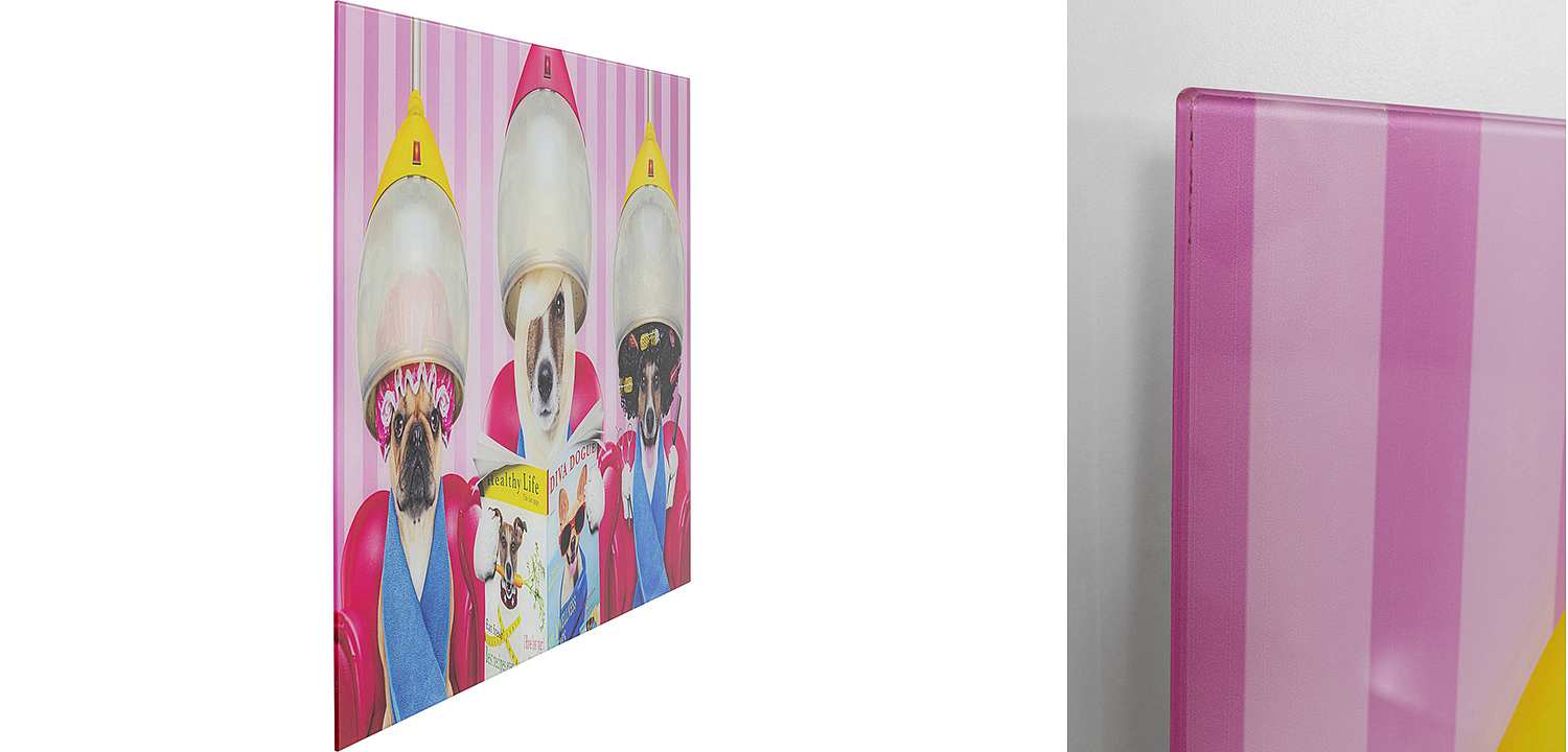 Картина Dogs in a beauty salon  - Loft-Concept в Волгограде