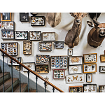 Книга Extraordinary Collections: French Interiors варинант исполнения - 11 | Loft Concept в Волгограде