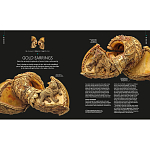 Книга Treasures of India From Antiquity to Modernity варинант исполнения - 3 | Loft Concept в Волгограде