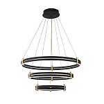 Люстра светодиодная с 3-мя плафонами в форме колец из акрила и алюминия с пультом для регулировки света Ring Horizontal Anthracite варинант исполнения - 6 | Loft Concept в Волгограде