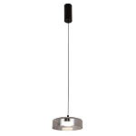 Подвесной светильник Blanton smoky 23 варинант исполнения - 2 | Loft Concept в Волгограде