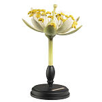 Статуэтка Tilia варинант исполнения - 2 | Loft Concept в Волгограде