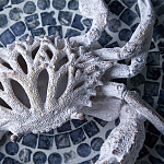 Статуэтка краб с детализированной текстурой в белом цвете Marine Accessories варинант исполнения - 8 | Loft Concept в Волгограде