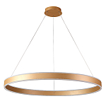 Люстра подвесная светодионая кольцевая золотого цвета Ring Horizontal варинант исполнения - 1 | Loft Concept в Волгограде