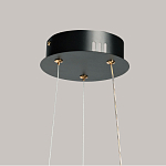 Люстра с прозрачным волнистым плафоном в форме цветка Ethereal Bloom варинант исполнения - 11 | Loft Concept в Волгограде