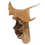 Статуэтка из дерева скат Animals of the World варинант исполнения - 2 | Loft Concept в Волгограде