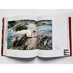 Книга Коллекция картин Сарджента Sargent: The Masterworks варинант исполнения - 6 | Loft Concept в Волгограде