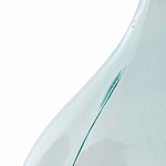 Ваза-бутыль из стекла TRANSPARENT FORMS 56 варинант исполнения - 4 | Loft Concept в Волгограде