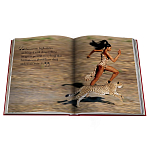 Лимитированная подарочная большая книга CARTIER Panthère варинант исполнения - 12 | Loft Concept в Волгограде