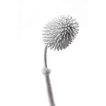 Статуэтка тропический фрукт Pandora Tropical Fruit Tall White варинант исполнения - 1 | Loft Concept в Волгограде