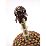 Статуэтка тропический фрукт Pandora Tropical Fruit Brown варинант исполнения - 1 | Loft Concept в Волгограде