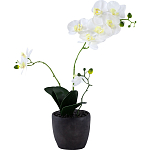 Декоративный искусственное растение Angel Orchid варинант исполнения - 1 | Loft Concept в Волгограде