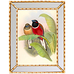 Постер с изображением птиц и цветов в зеркальной раме Blooming Birds Poster варинант исполнения - 6 | Loft Concept в Волгограде